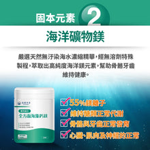 將圖片載入圖庫檢視器 達摩本草®香港授權經銷商_全方面海藻鈣鎂複方《單包》體驗裝_Delish Wellness Limited
