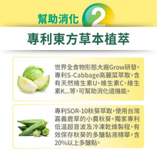 將圖片載入圖庫檢視器 達摩本草®香港授權經銷商_美國綜合活性消化酵素