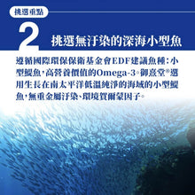 將圖片載入圖庫檢視器 御熹堂®香港授權經銷商_黃金頂級90%高濃度專利魚油《6個月》套裝