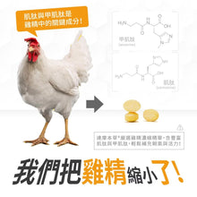 將圖片載入圖庫檢視器 達摩本草®香港授權經銷商_長效活力B群錠_6個月套裝
