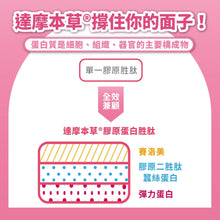 將圖片載入圖庫檢視器 達摩本草®香港授權經銷商_日本膠原蛋白胜肽珍珠粉

