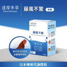 將圖片載入圖庫檢視器 達摩本草®香港授權經銷商_藤風不驚《單盒》體驗裝_Delish Wellness Limited

