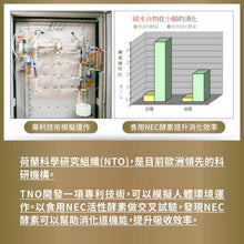 將圖片載入圖庫檢視器 達摩本草®香港授權經銷商_美國綜合活性消化酵素
