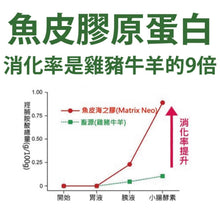 將圖片載入圖庫檢視器 達摩本草®香港授權經銷商_專利盈法絲膠囊
