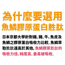 將圖片載入圖庫檢視器 達摩本草®香港授權經銷商_日本膠原蛋白胜肽珍珠粉
