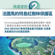 將圖片載入圖庫檢視器 達摩本草®香港授權經銷商_法國53%DHA植物藻油
